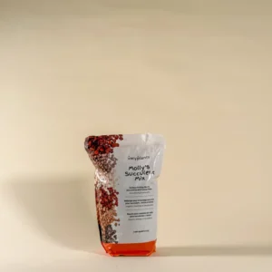 Mélange pour succulentes par Molly's