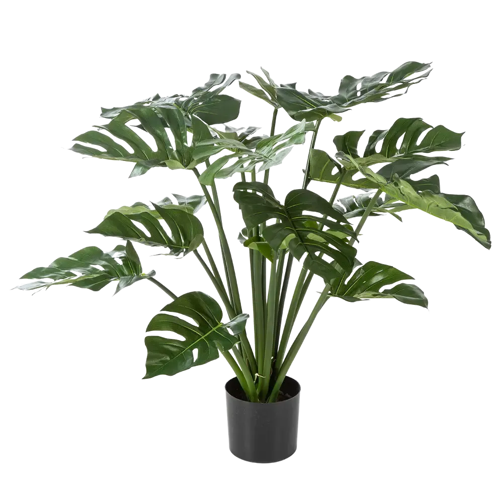 Monstera artificiel - Thilo | 98 cm