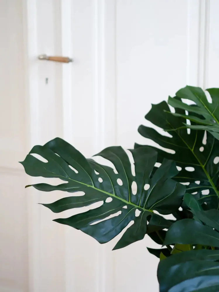 Monstera artificiel - Thilo | 98 cm