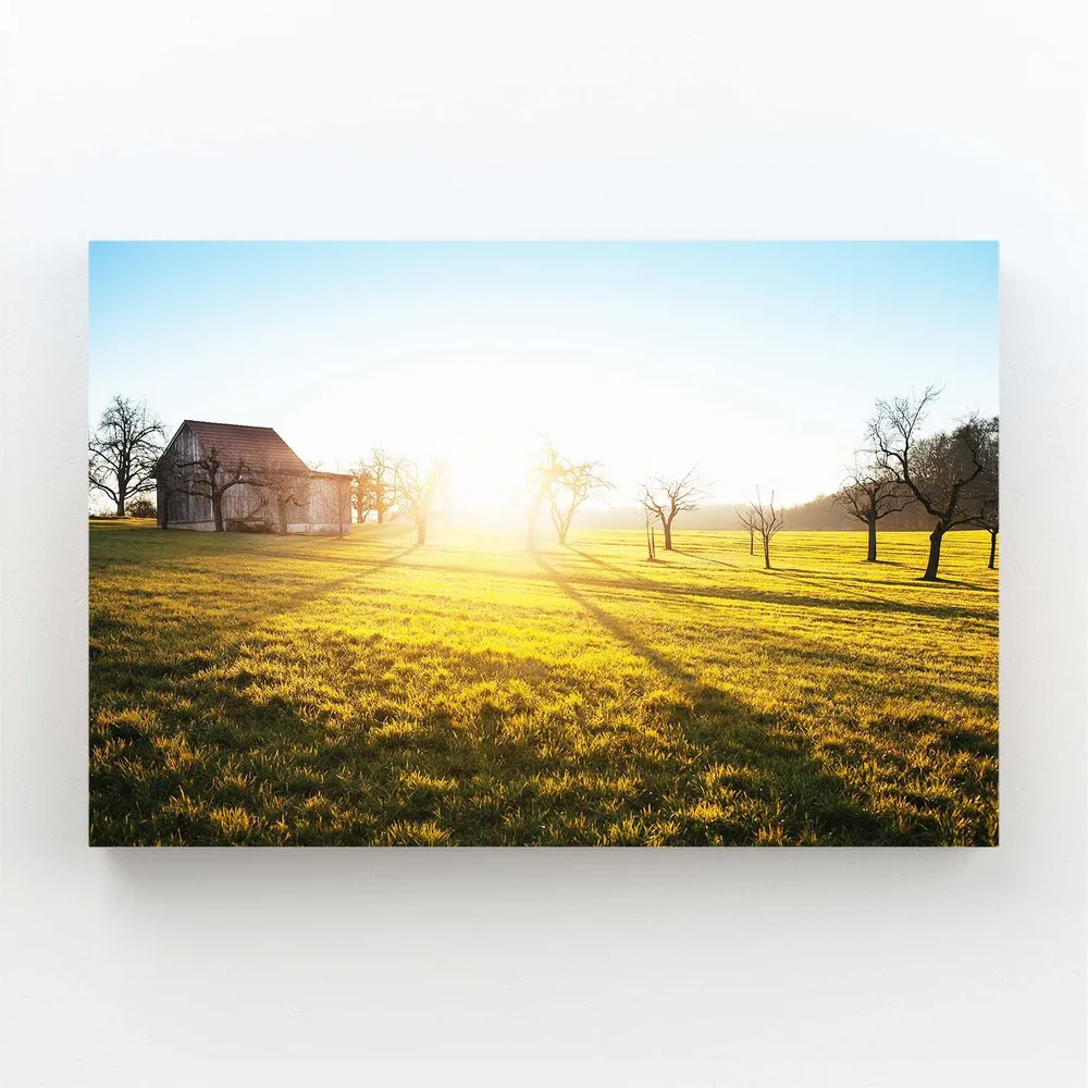Lumière Matinale Tableau Coucher de Soleil MusaArtGallery