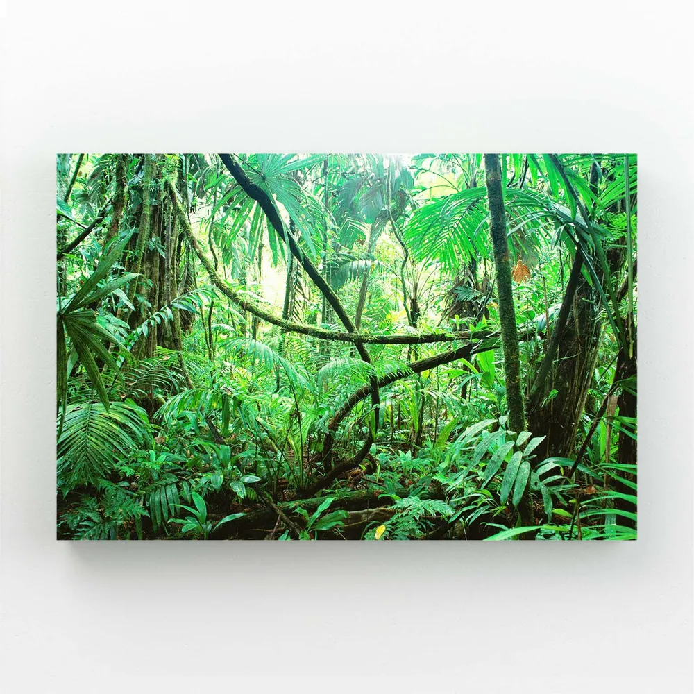 Tableau Arbre Jungle Mystique MusaArtGallery