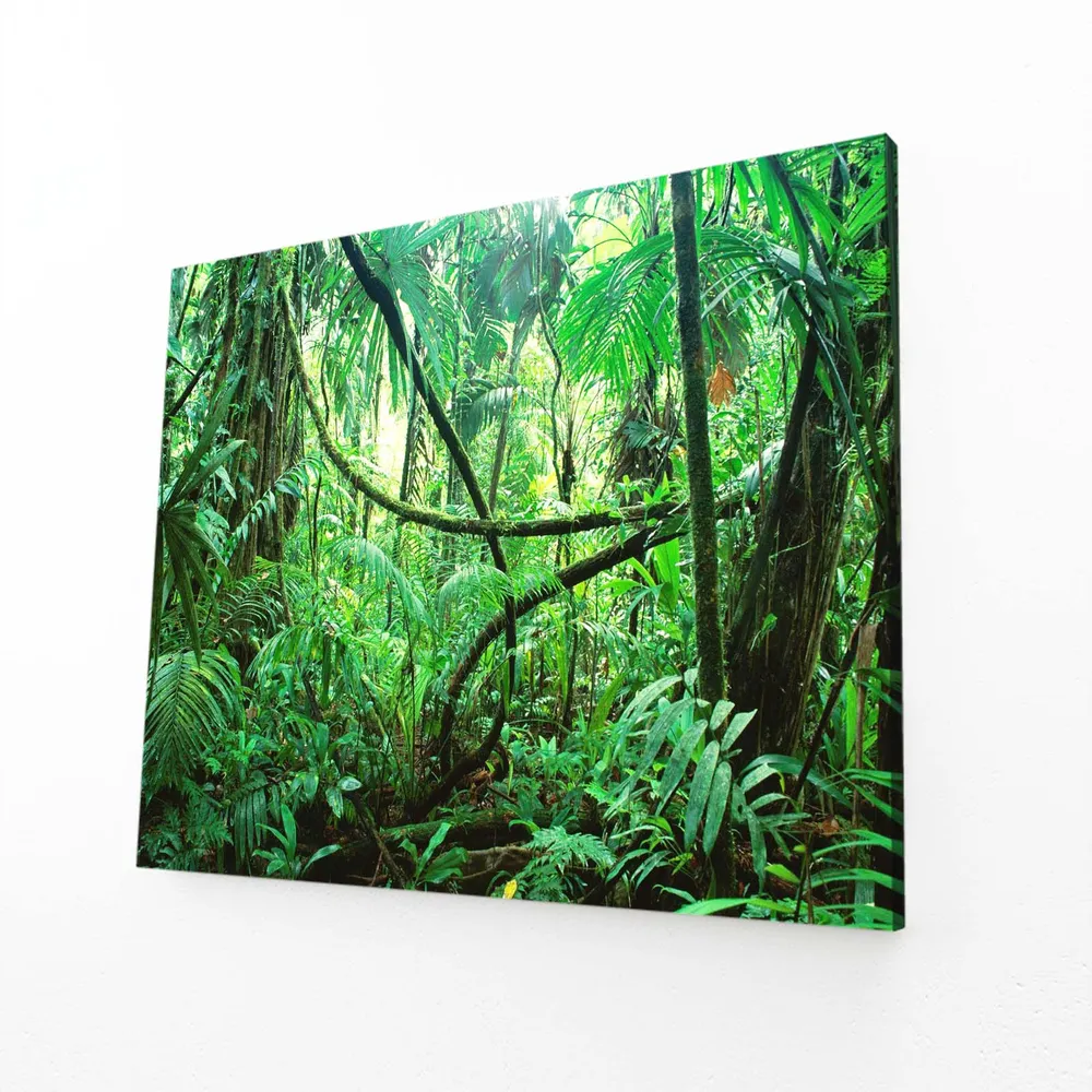 Tableau Arbre Jungle Mystique MusaArtGallery