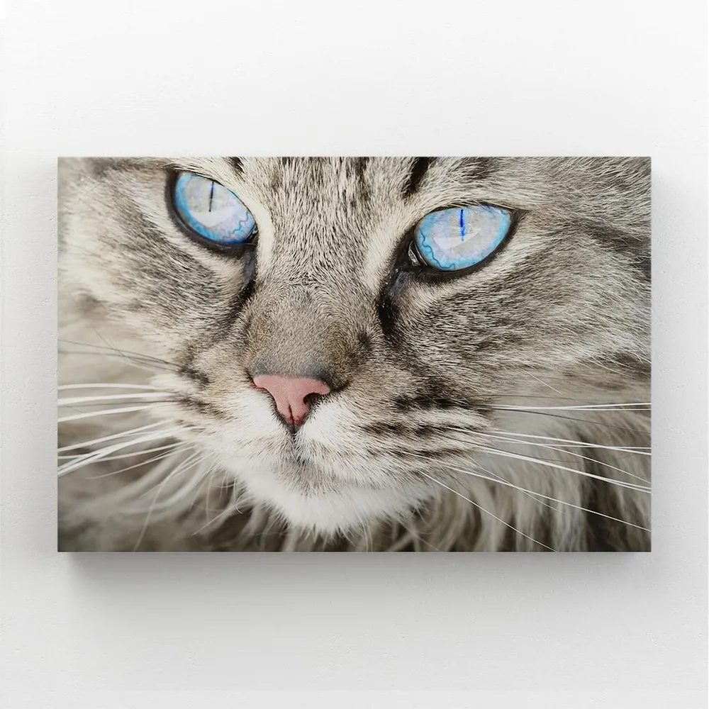 Tableau Chat Gris MusaArtGallery