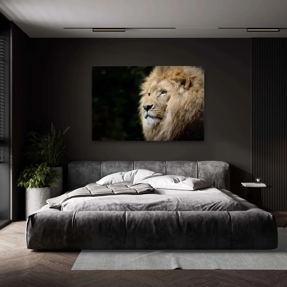 Tableau Lion Afrique MusaArtGallery