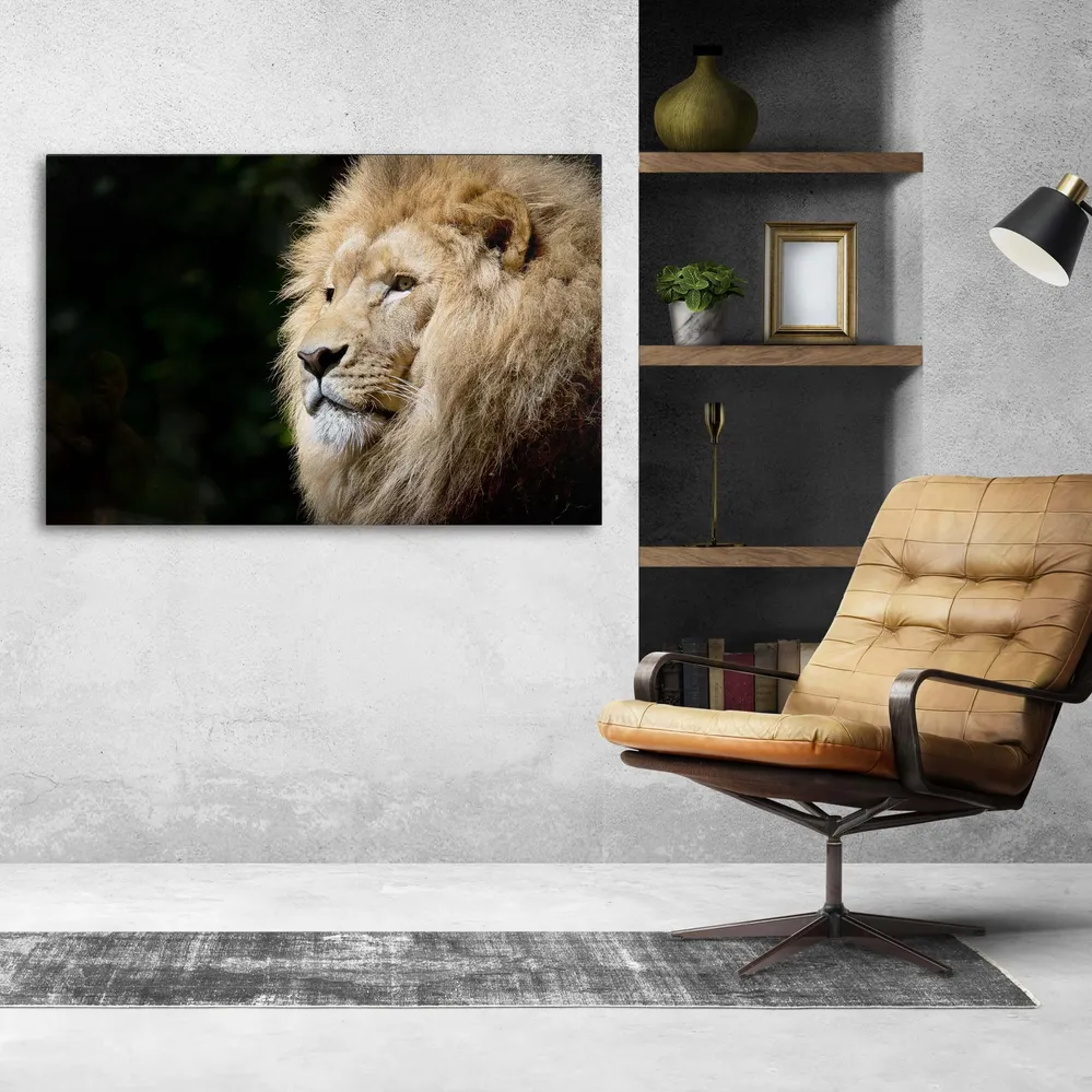 Tableau Lion Afrique MusaArtGallery