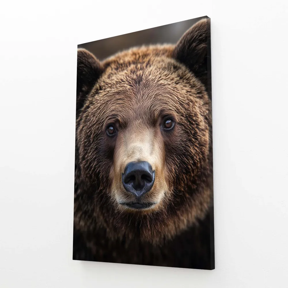 Tableau Ours Tete MusaArtGallery