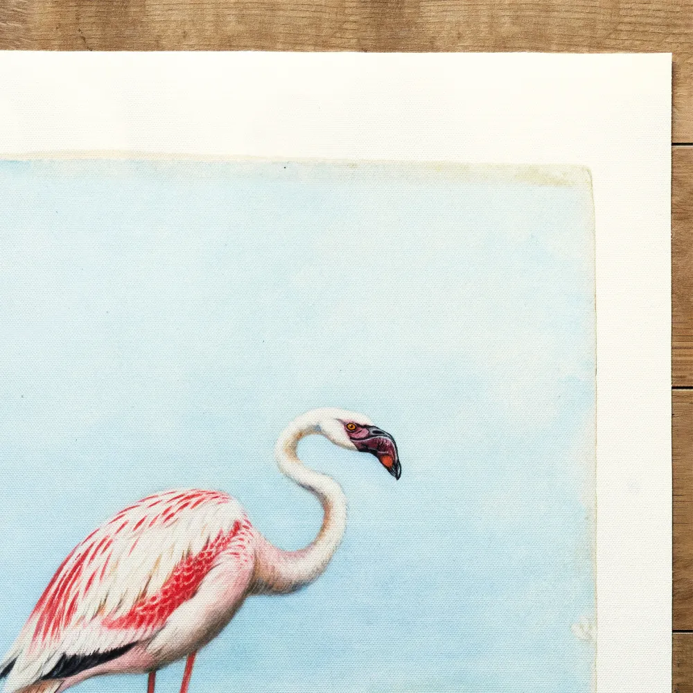 Flamant rose (1860–1954) My Store