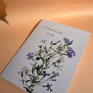 Carte de vœux - Phlox Prend Soin De Toi Nature Ephemere
