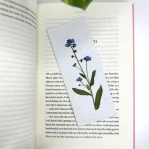 Myosotis - Signet à Planter Nature Éphémère