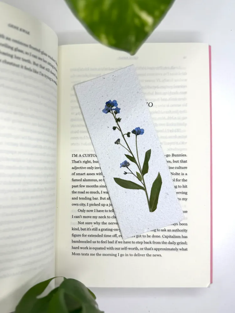 Myosotis - Signet à Planter Nature Éphémère