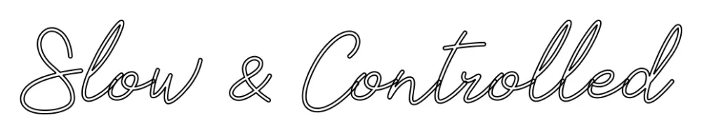 Néon personnalisé: Slow & Controll...