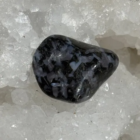 Gabbro Indigo ( Merlinite Mystique) Oasis de Cristal Inc