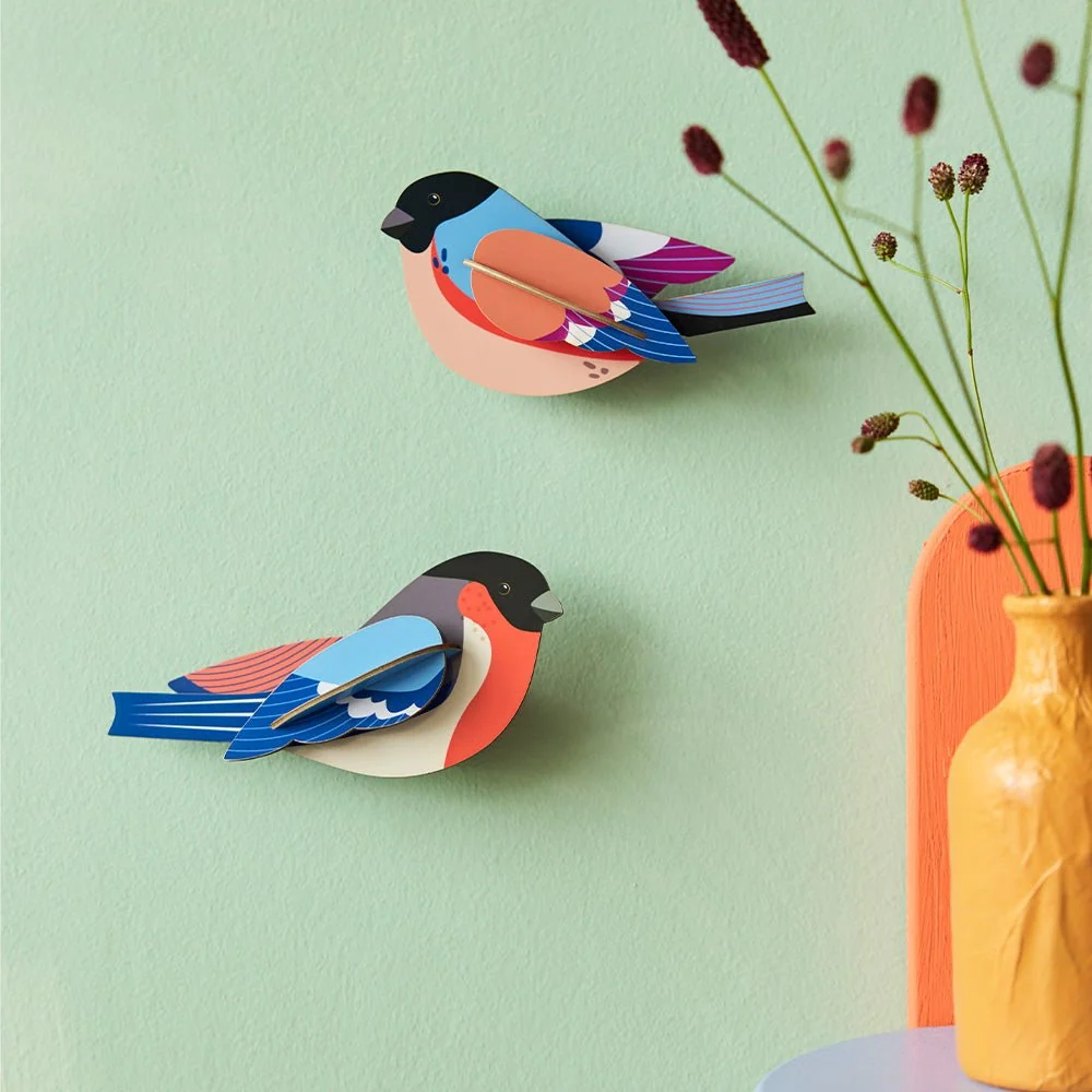 Oiseau de Jardin Pinsons