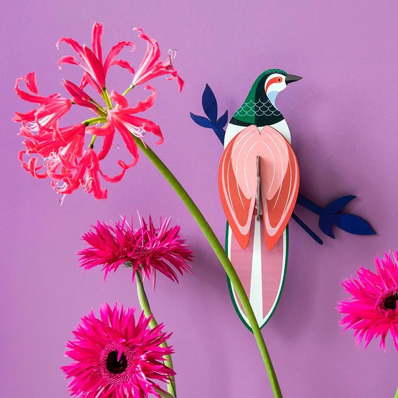 Oiseau de paradis Rani