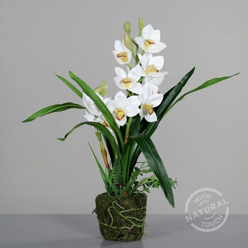 Orchidée artificielle cymbidium en motte - Feuillage intérieur - H.62cm blanc S3