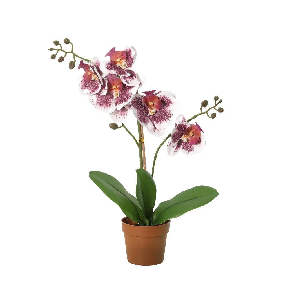 Orchidée Phalaenopsis violet blanc plante artificielle h43cm