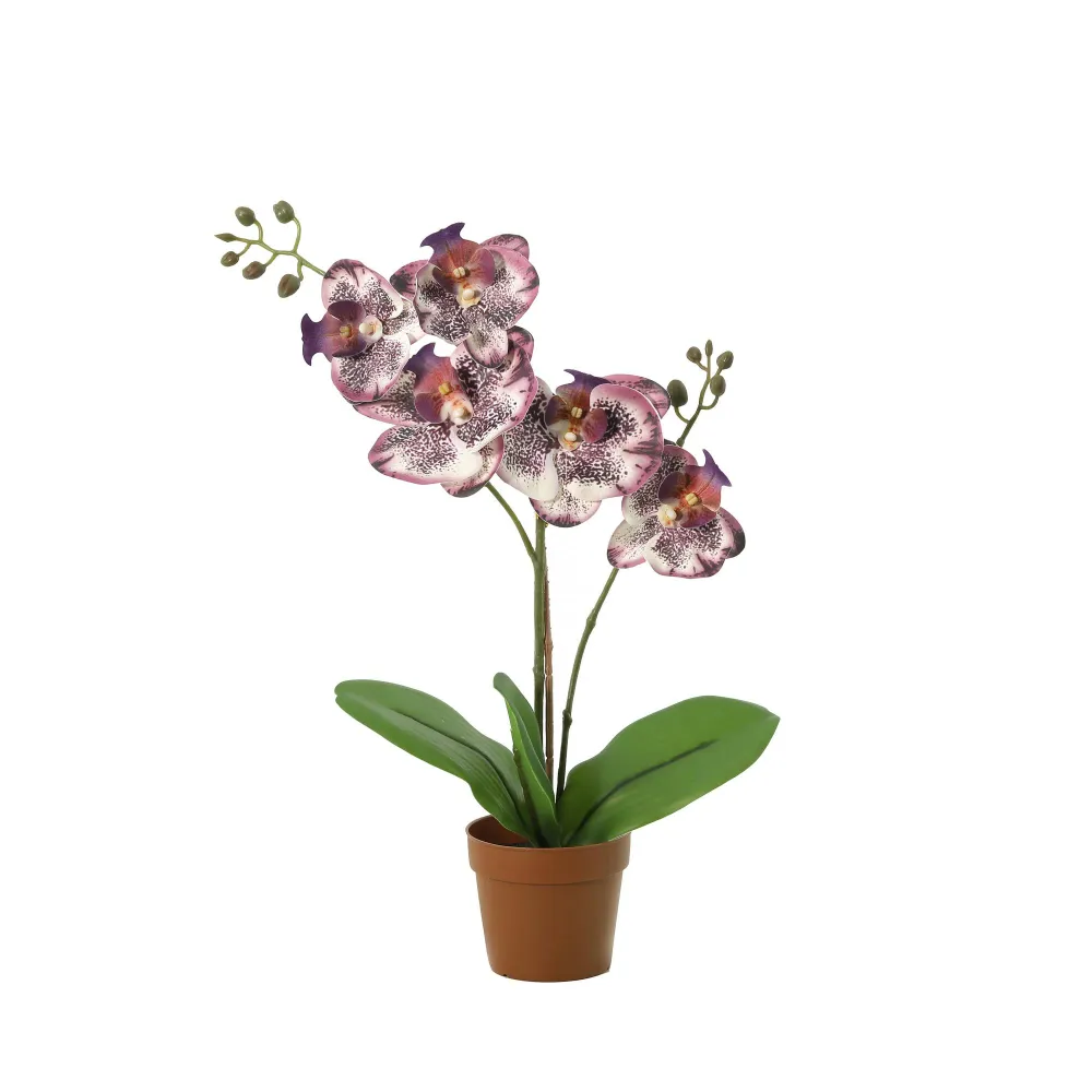 Orchidée Phalaenopsis violet plante artificielle h41cm