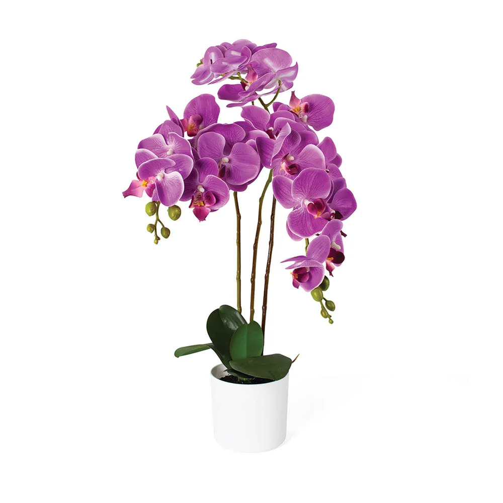 Orchidée rose artificielle d'intérieur en pot blanc, 21"