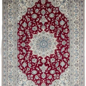 Oriental Nain K
