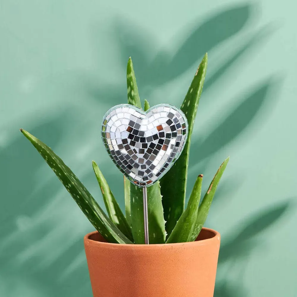DISCO COEUR - PIQUET DÉCORATIF POUR PLANTES PALOVERDE BOTANICALS