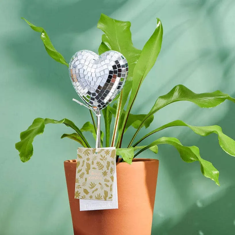 DISCO COEUR - PIQUET DÉCORATIF POUR PLANTES PALOVERDE BOTANICALS
