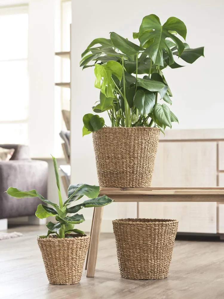 Panier naturel - h23cm, Ø26cm