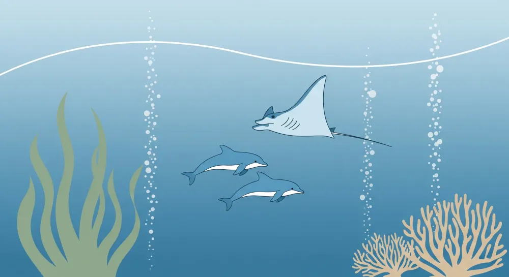 Papier peint chambre enfant | Aventures sous-marines avec raies et dauphins