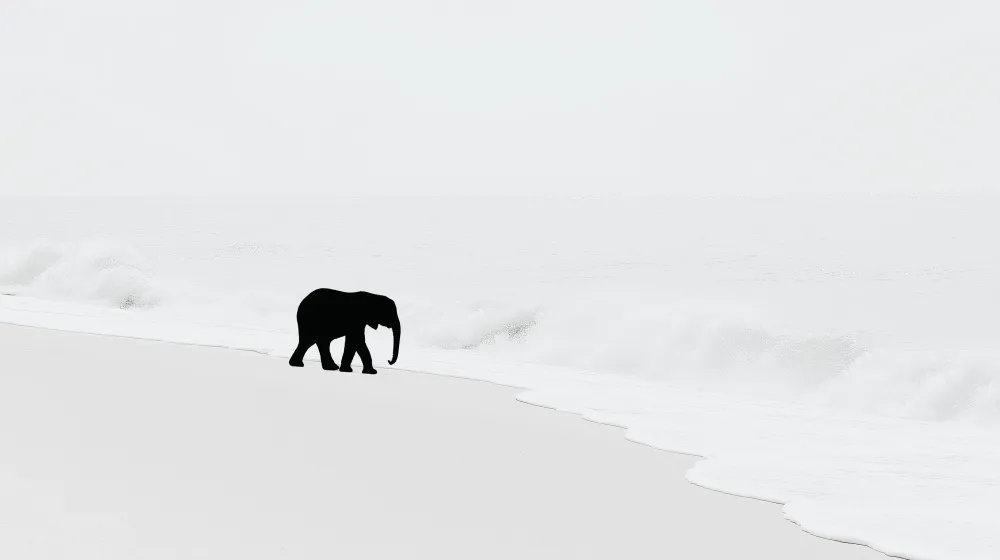 Papier peint chambre enfant | Éléphant sur la plage