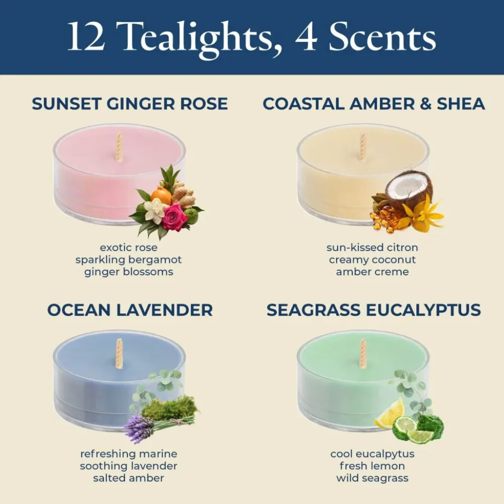Échantillonneur de 12 bougies à réchaud Coastal Farmhouse PartyLite CA