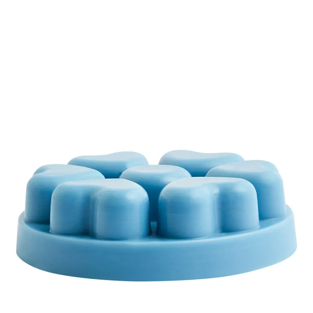 Galets Cœur Scent Plus® Sea Salt & Sage PartyLite US