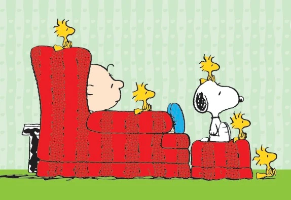 Peanuts Charlie Brown, Snoopy & Woodstock