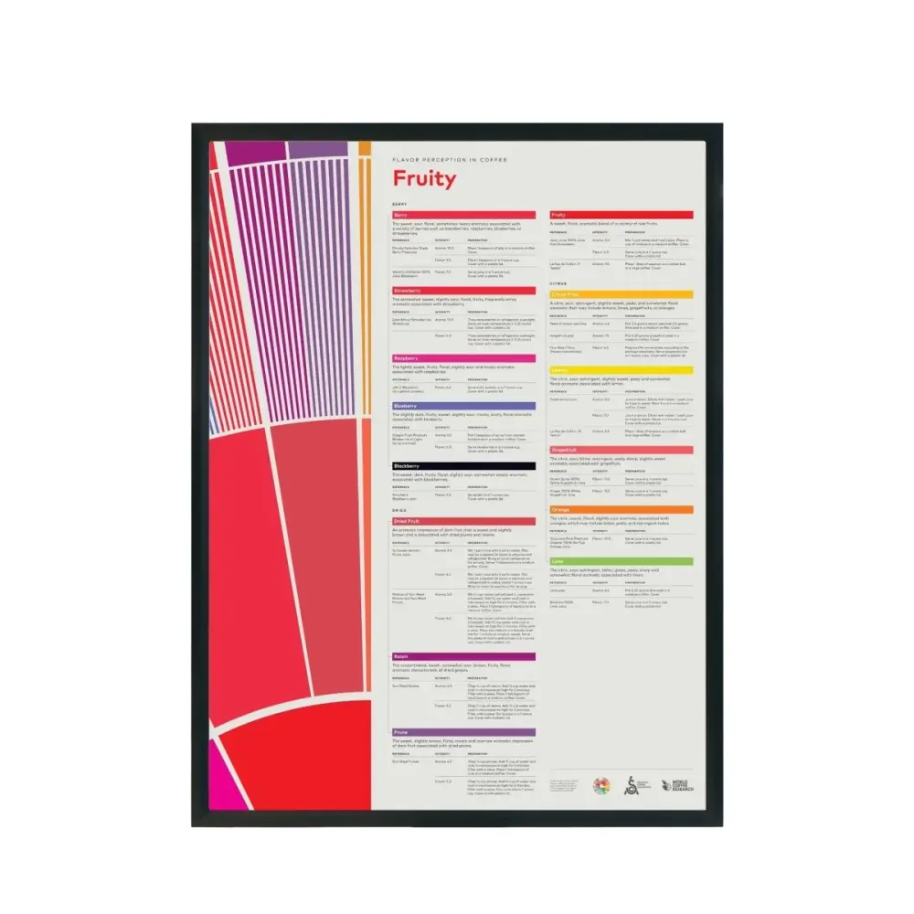 Perception du goût dans le café Poster - Fruity