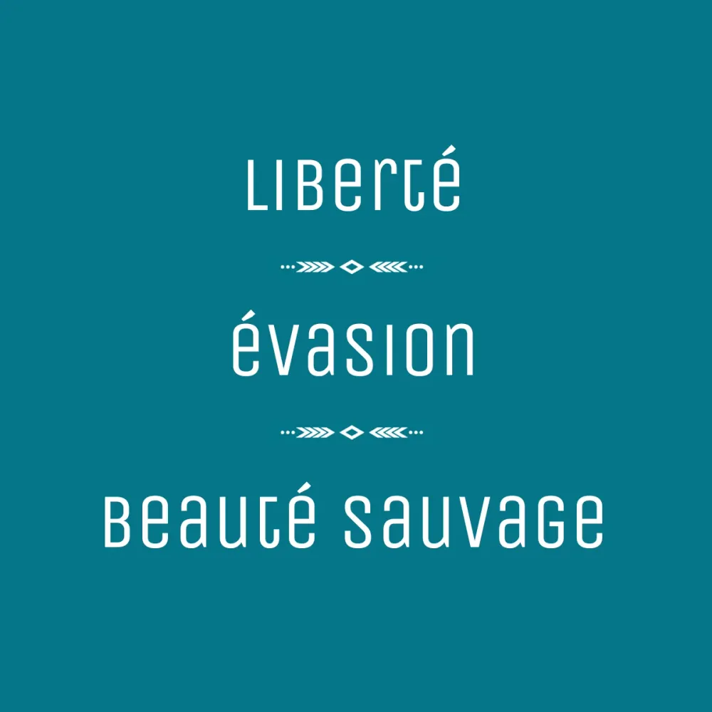 Petit attrape-rêve "Joli petit coquelicot"