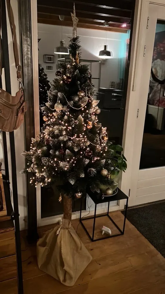 Petites boules de Noël avec 50 crochets pour boules de Noël 3-4cm 44 pièces | décoration avec une pointe rouge argentée av...