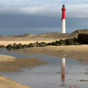 Le phare de la Coubre - impression sur bois