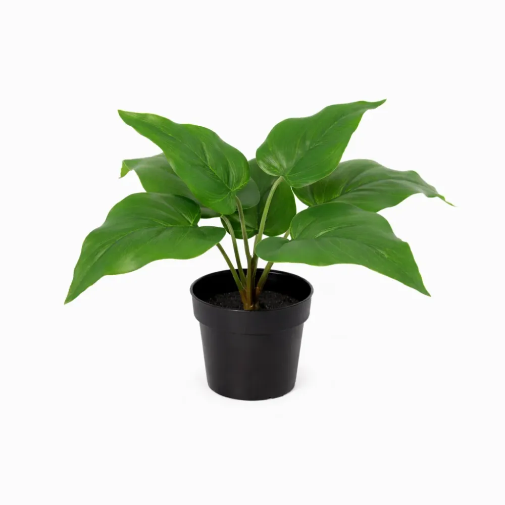 Philodendron Imperial vert plante artificielle h25cm