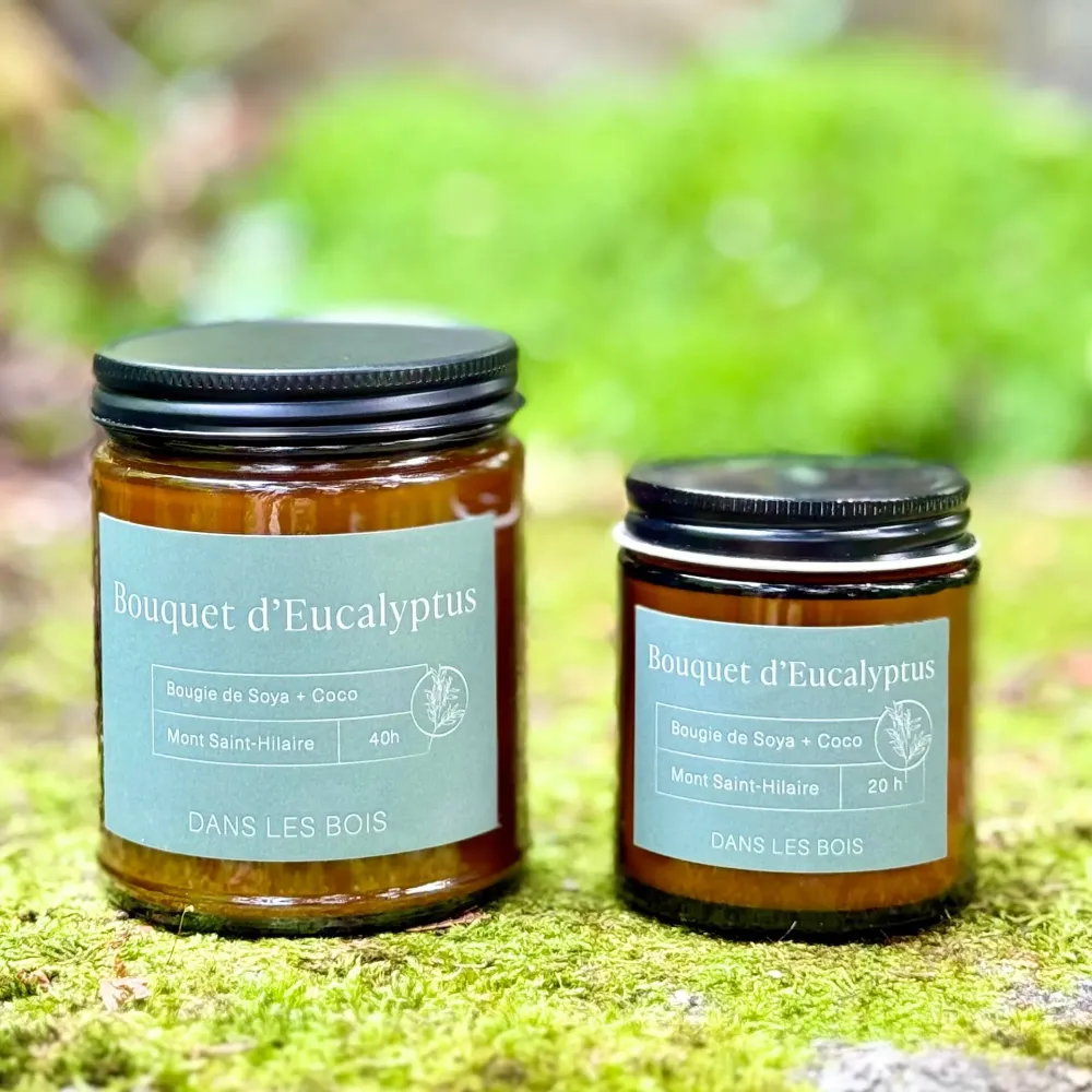 Bougie bouquet d'eucalyptus PHYTOVIE & KAMI