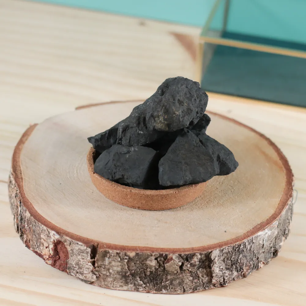 Pierre brute shungite – Protection énergétique & ancrage profond