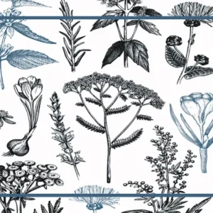 Plantas medicinales bleu