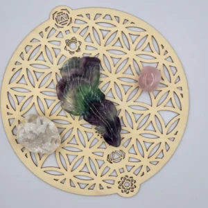 Plume en Fluorite Rainbow - Qualité Extra 90-110 mm