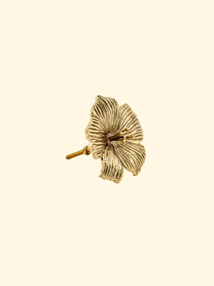 Poignée de porte hibiscus fleur