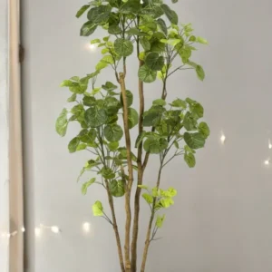 Polyscias Aralia plante artificielle - h160cm