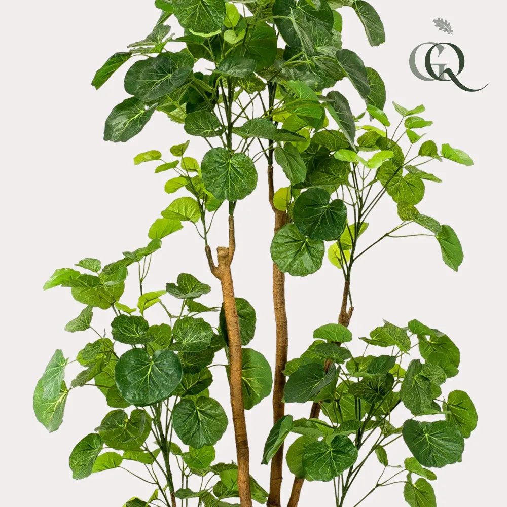 Polyscias Aralia plante artificielle - h160cm