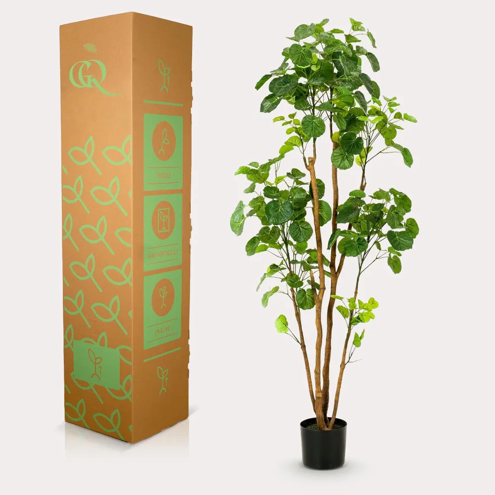 Polyscias Aralia plante artificielle - h160cm