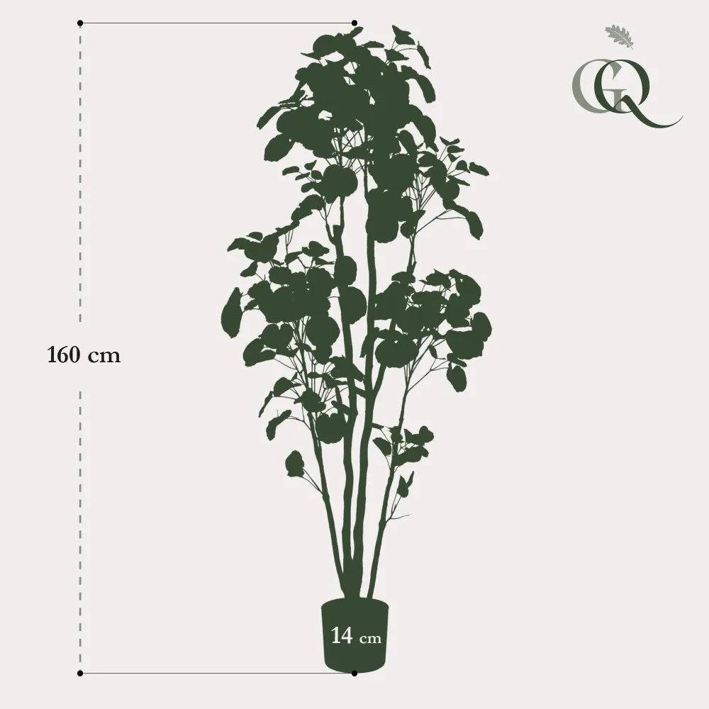 Polyscias Aralia plante artificielle - h160cm