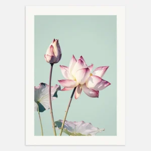 Fleur de lotus, affiche - poster vintage Posterscape Creative Studio