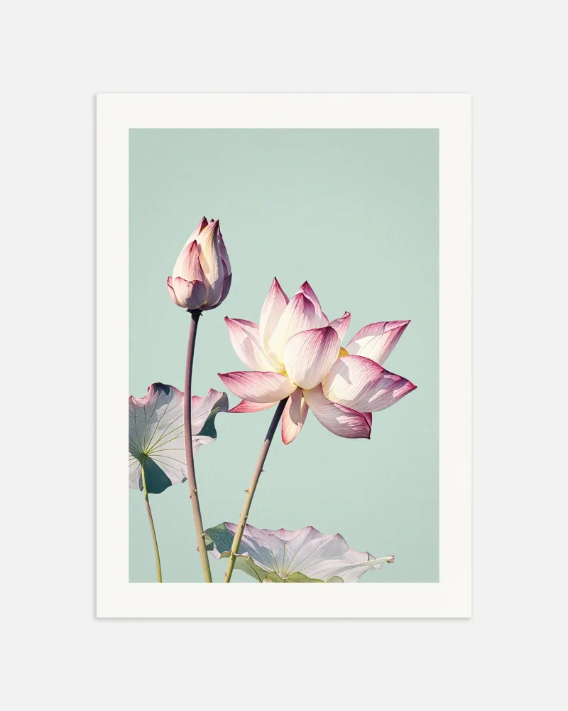 Fleur de lotus, affiche - poster vintage Posterscape Creative Studio