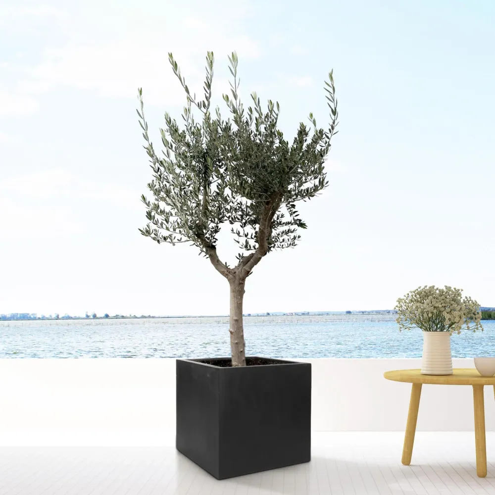 Pot Block Noir 60 cm