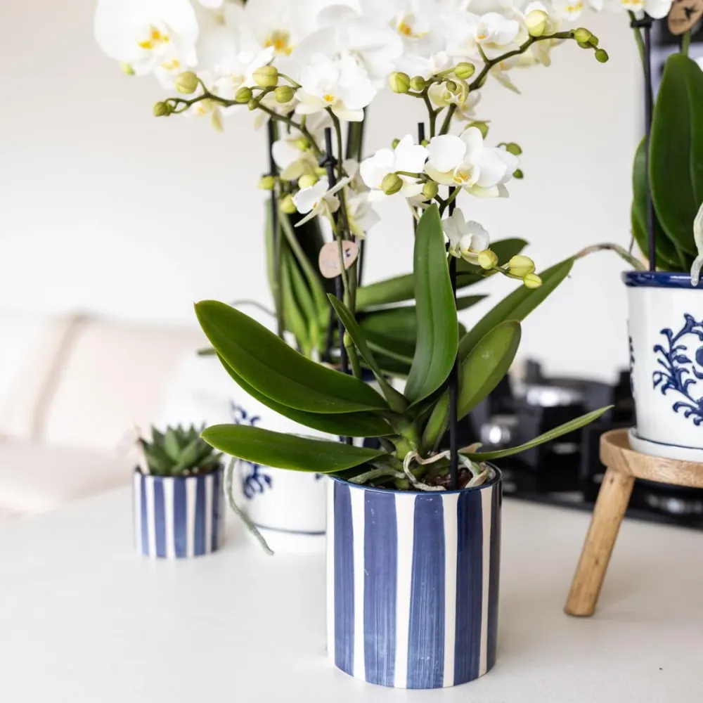 Pot Céramique Rayé Bleu