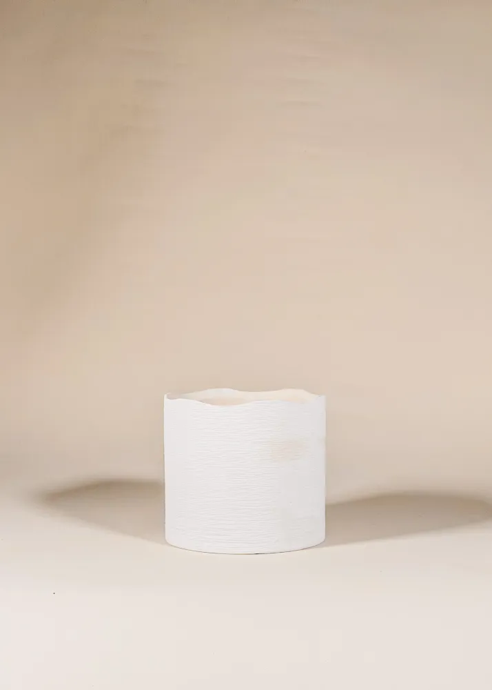 Pot crème Delphi